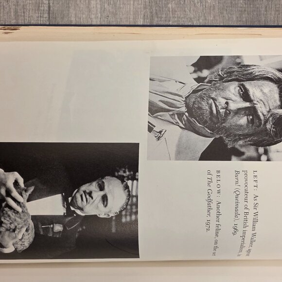 Somebody: The Reckless Life and Remarkable Career of Marlon Brando by Stefan Kan - Picture 7 of 16